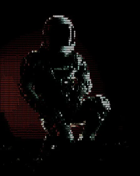The same photo with the Code character set