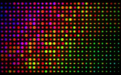 The Disco Aurora recipe: An animated aurora gradient through pulsing rainbow dots with bloom, a touch of fringing and a vignette. Animated.