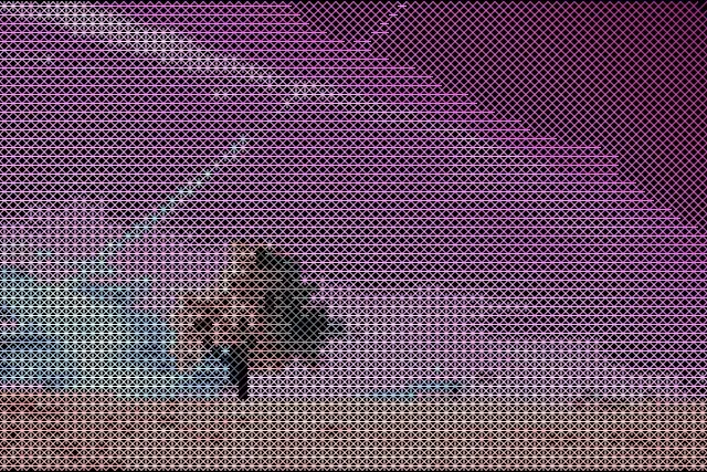 Lone Tree converted to Hatching style ASCII art