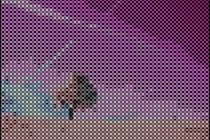 Lone Tree converted to Hatching style ASCII art